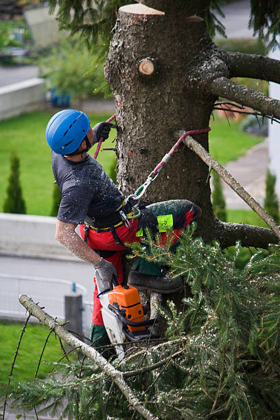 Best Tree Health Inspection  in Heritage Hills, NY